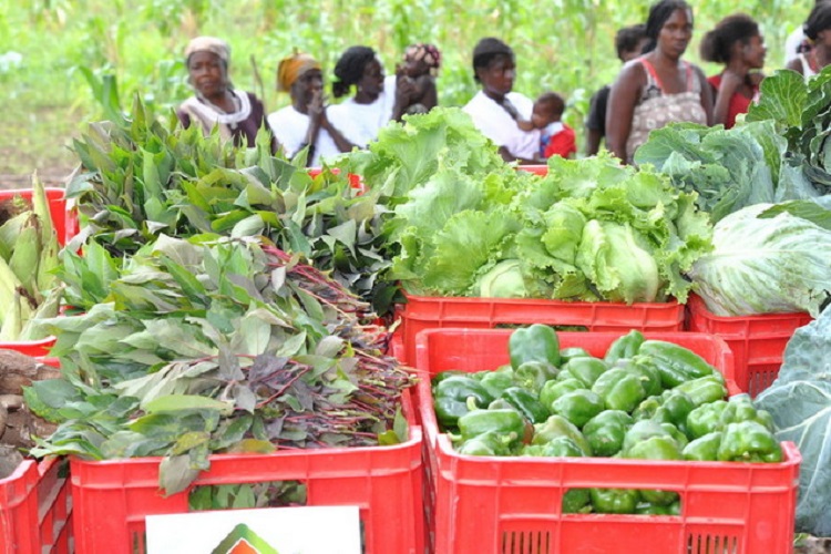 Agricultura (1)