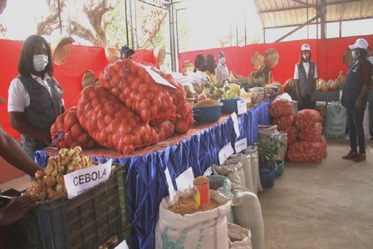 Feira da Batata e do Milho AGRICULTURA
