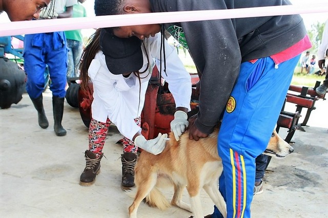 0,ba4307d9-0118-4483-98b6-50ba84fdc285