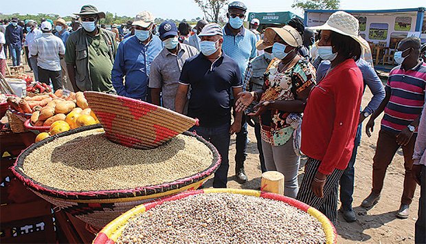 huila_15592419146024e1e1234bd