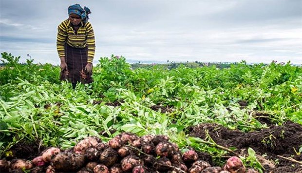 resilienca_da_agricultura_140125808561cd8fe8e5dfd