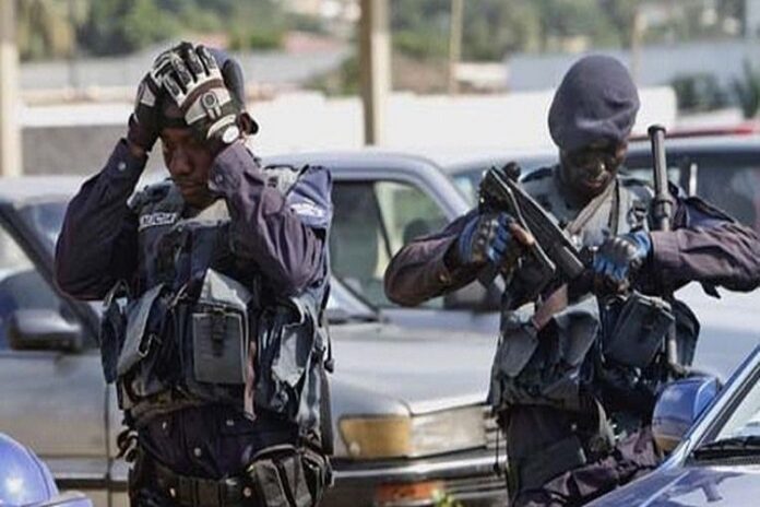 PNA-AGENTES
