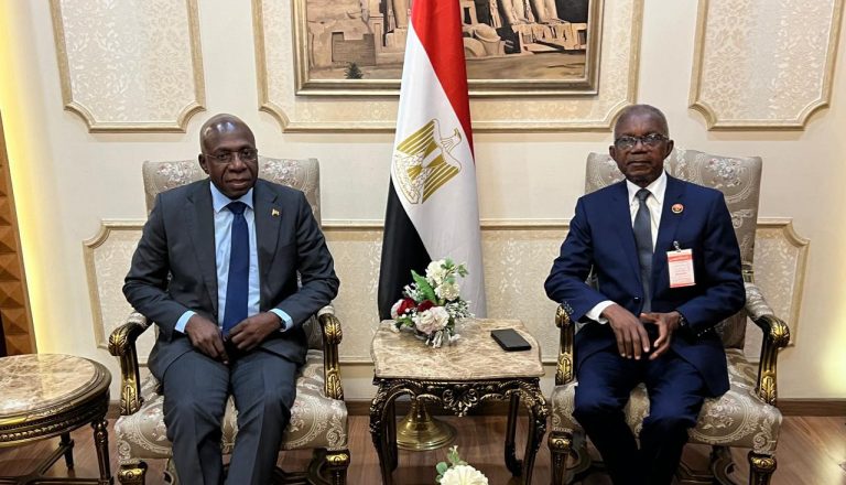 Téte António: “Angola está pronta para aprofundar relações com Egipto”