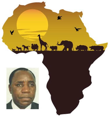 A Cimeira Afro-Europeia no Contexto do Multilateralismo – Carlos Kandanda