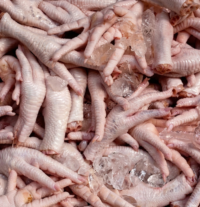 CARÇAS DE FRANGO
